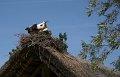 Zoo Straubing_015